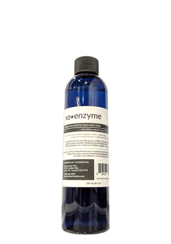 XO-Enzyme